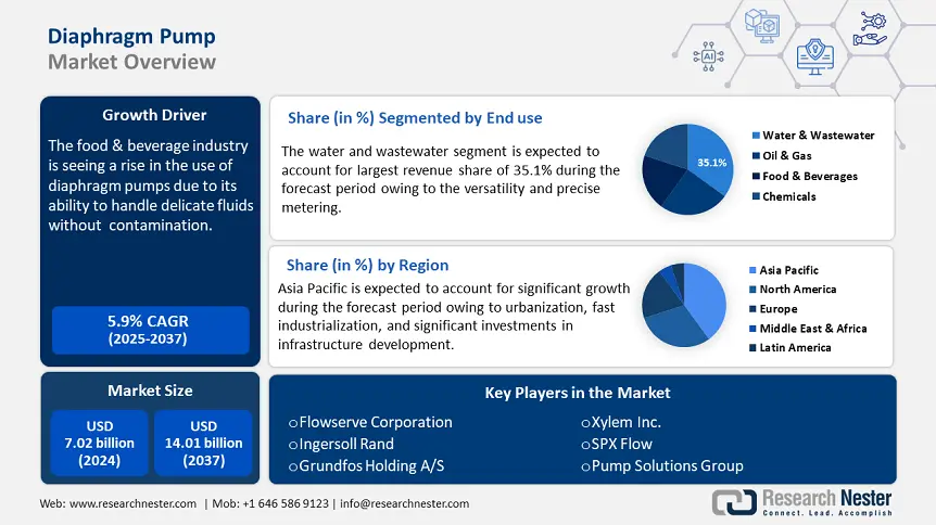 Diaphragm Pump Market Overview